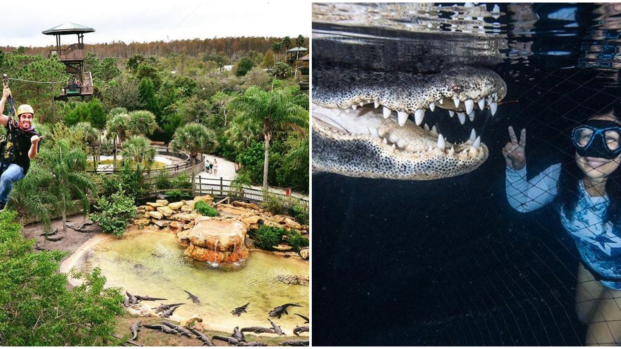 Adventure Spots In Florida That Show You The State's Wild Side