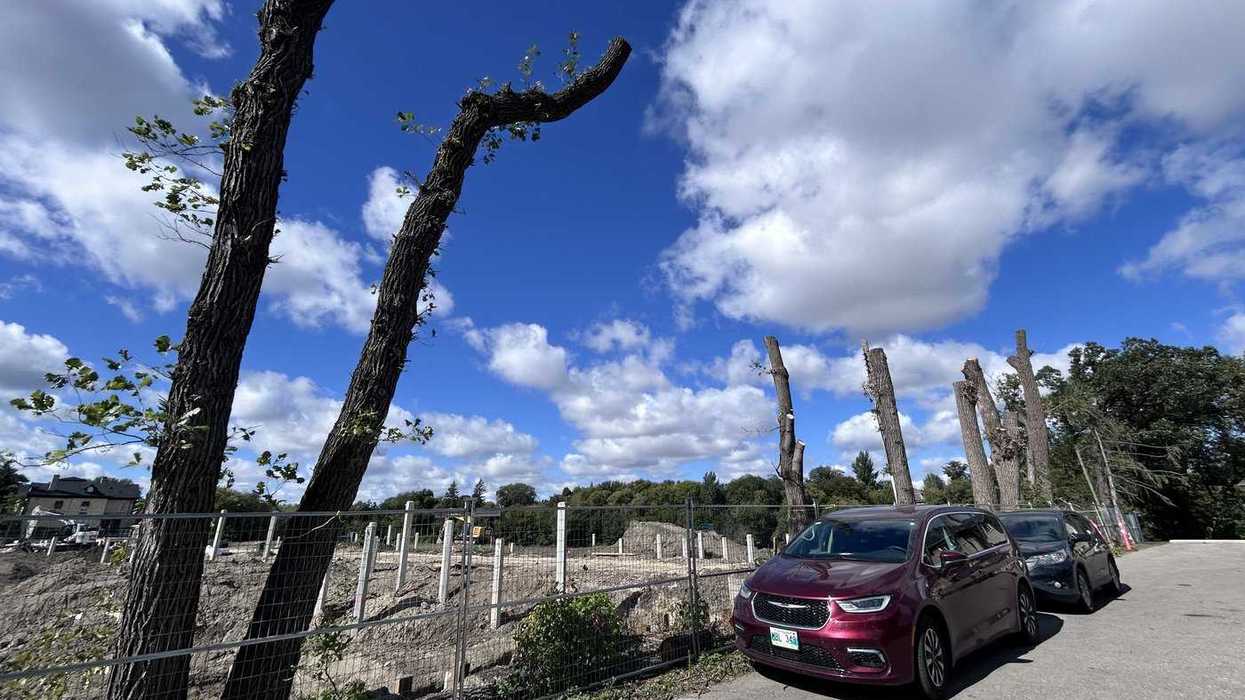 Advocates call for bylaw to save Winnipeg's trees