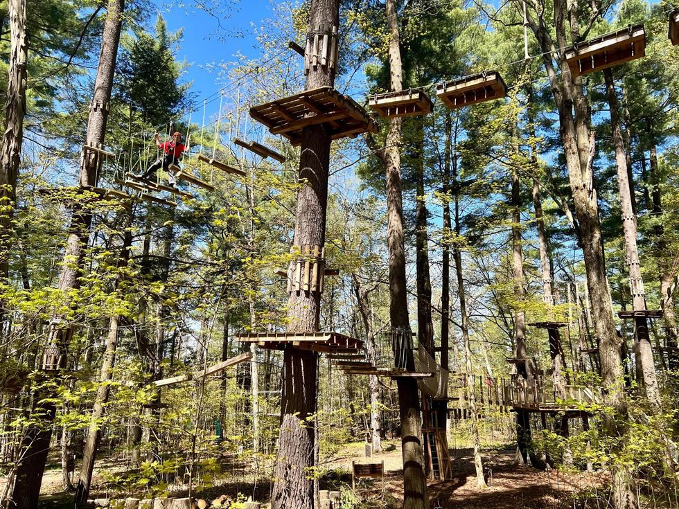 Aerial course through a forest.