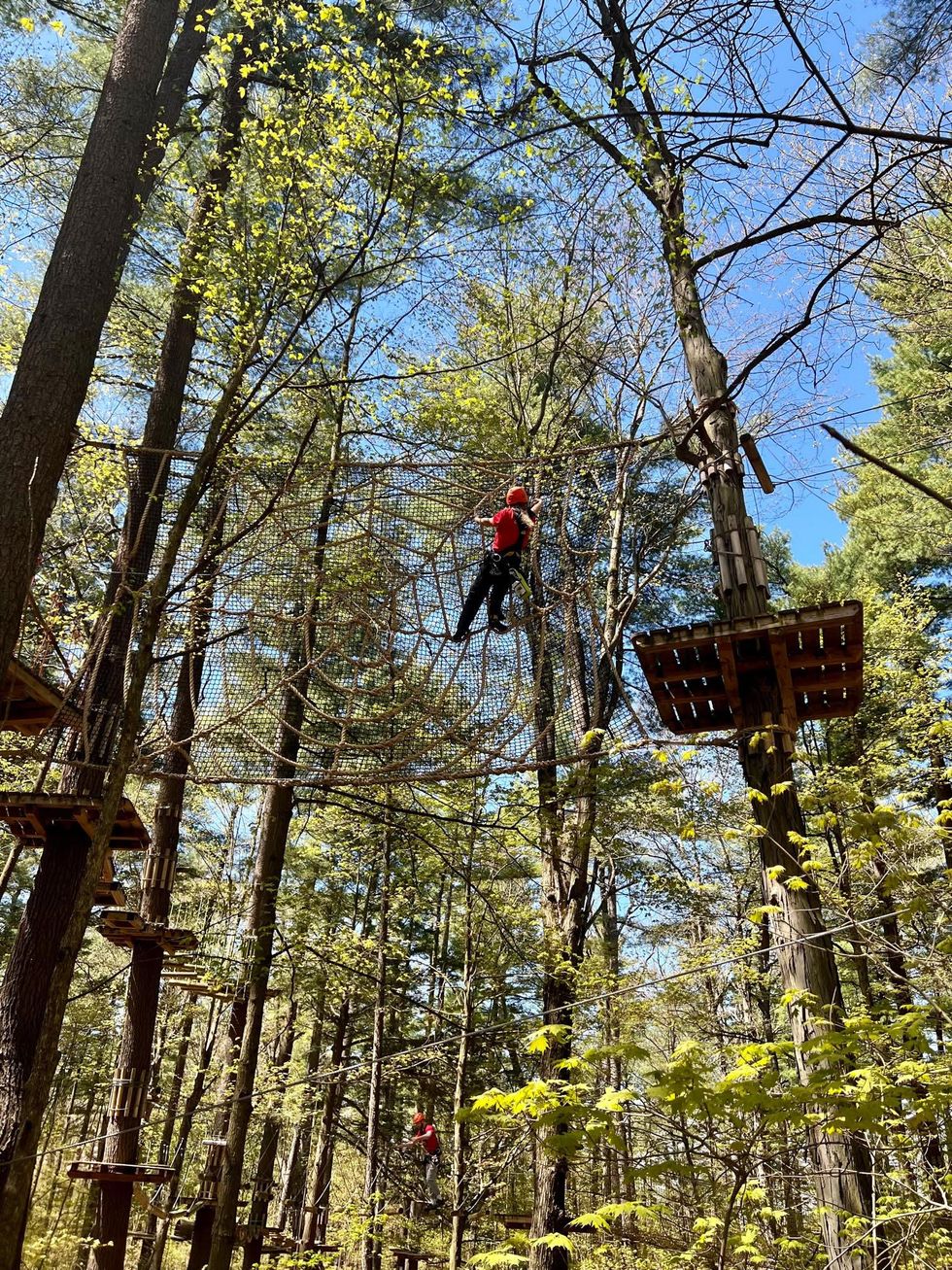 Aerial course through a forest.