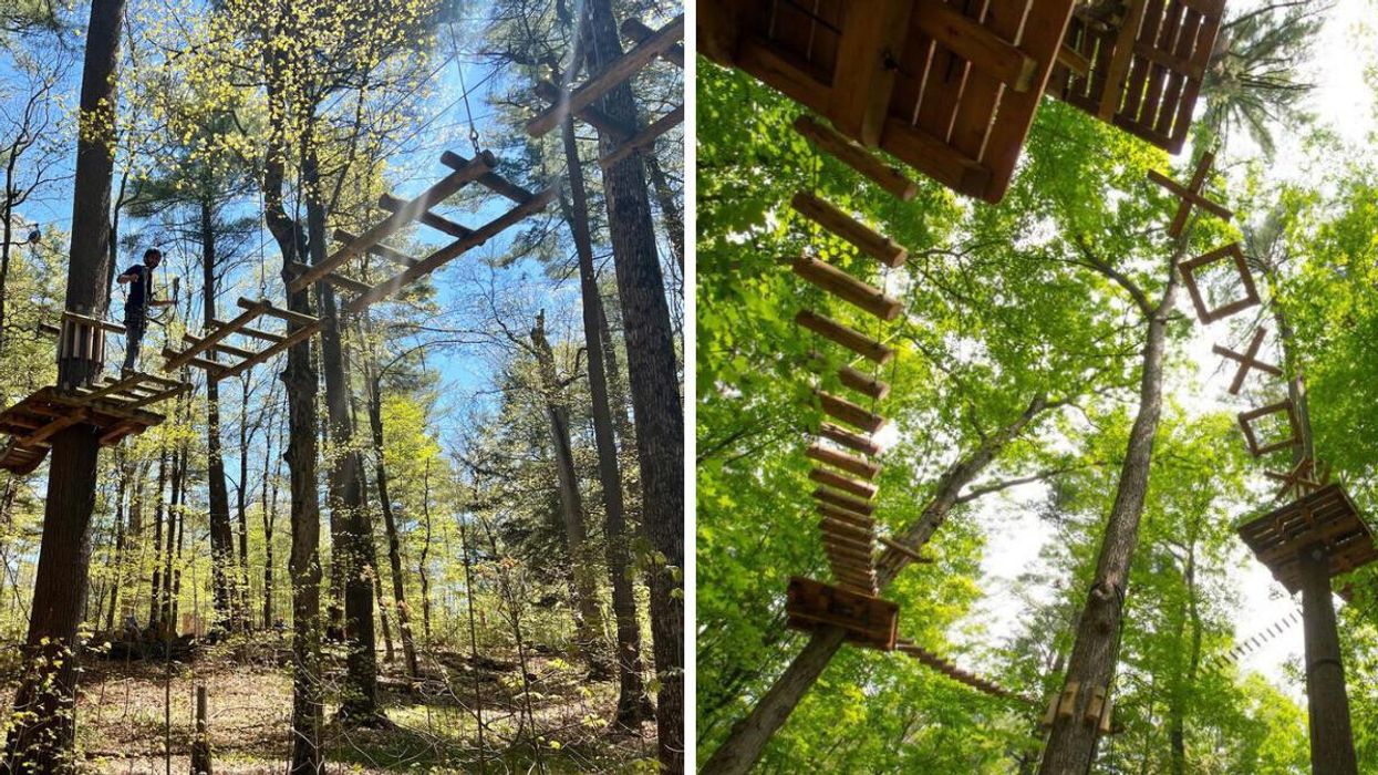 Aerial course through the trees.