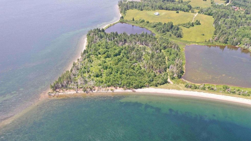 Aerial view of the house's property and the lake.
