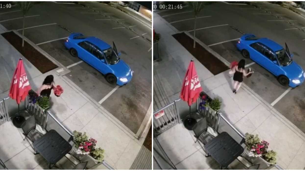 Afghan Kitchen South Surrey Is Devastated That People Keep Stealing Their Plants (VIDEO)