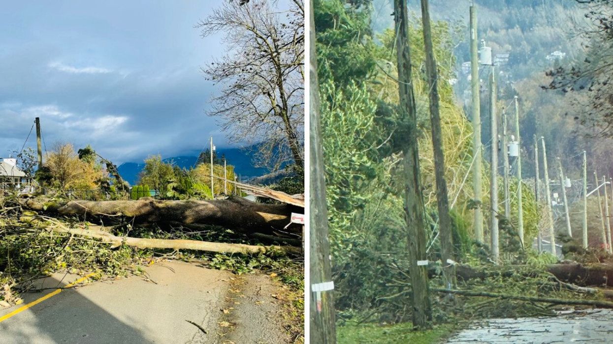 Aftermath of the windstorm that hit B.C.