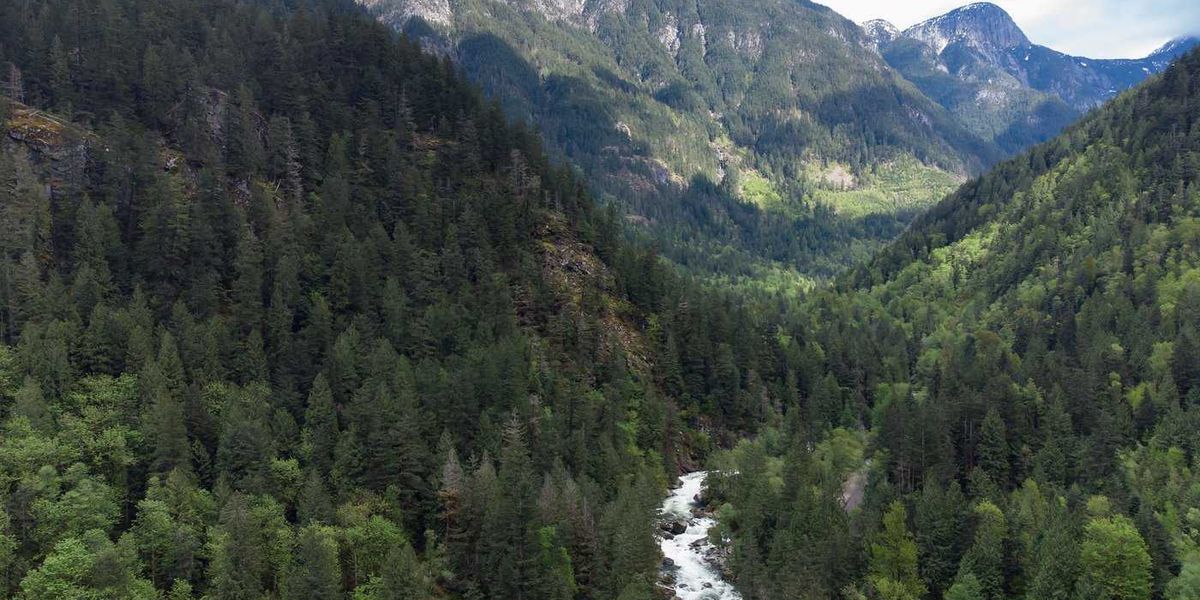 AG wants to exclude evidence in B.C. trial AG wants to exclude evidence in B.C. trial