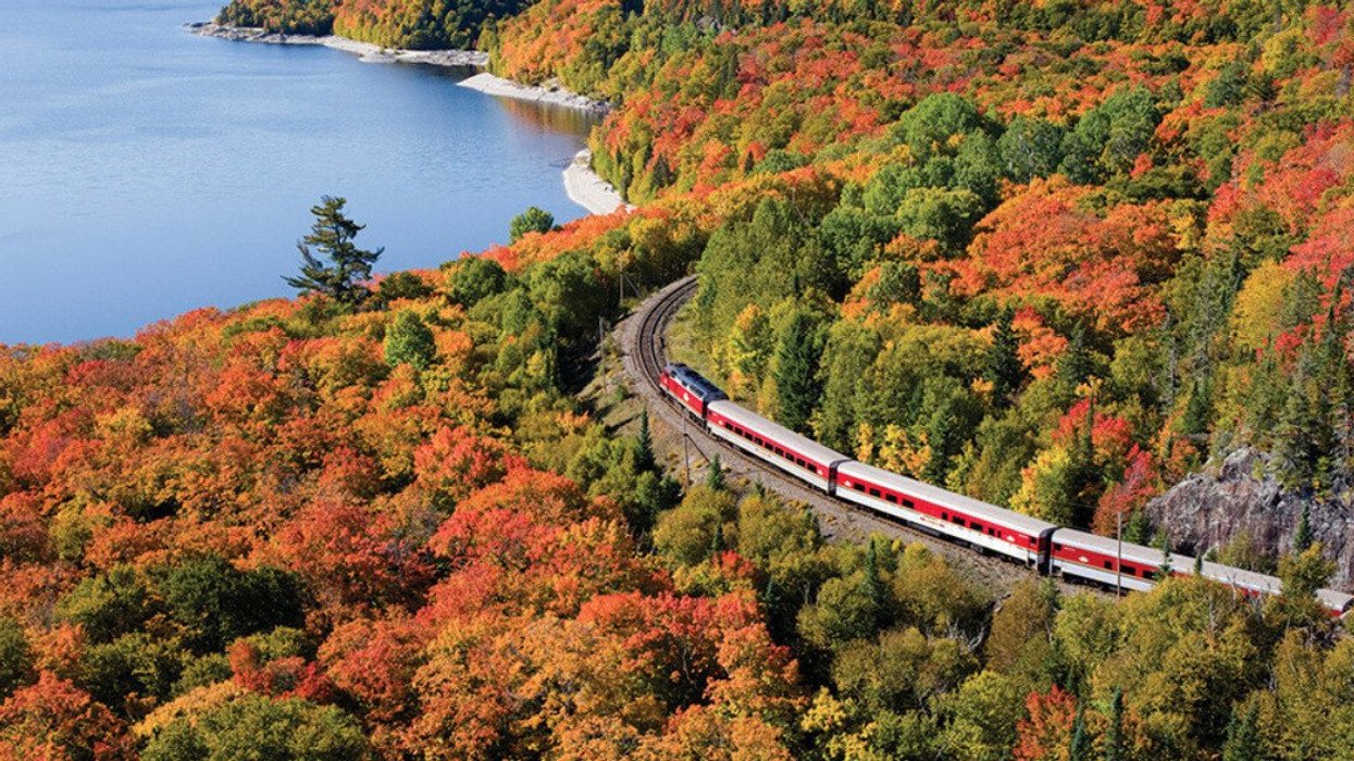 6 Stunning Fall Colour Train Rides In Ontario That Will Whisk You ...