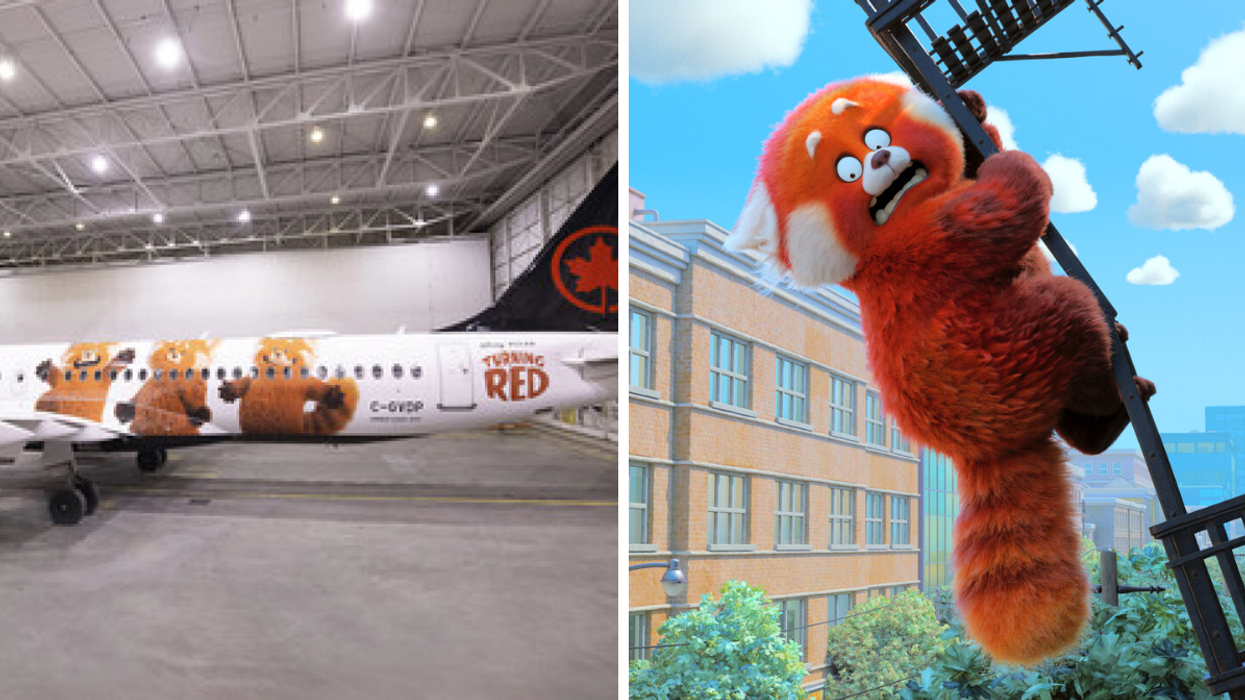 Air Canada Will Have Their First Ever Movie-Themed Plane To Celebrate A Toronto Set Film
