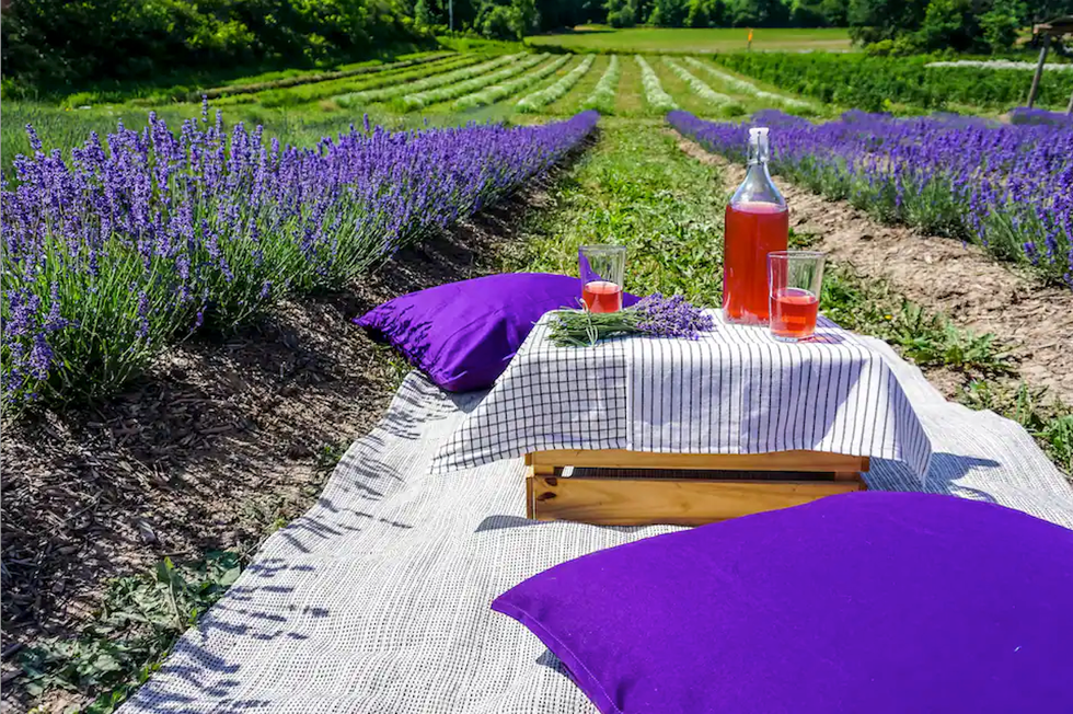 Airbnb at Saint Anns.