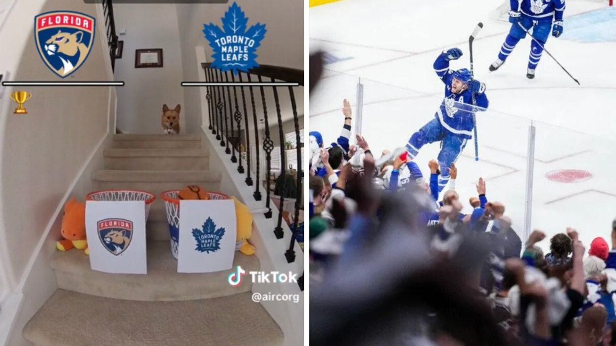 Aircorg shooting a ball into basketball hoops. Right: The Toronto Maple Leafs celebrating.