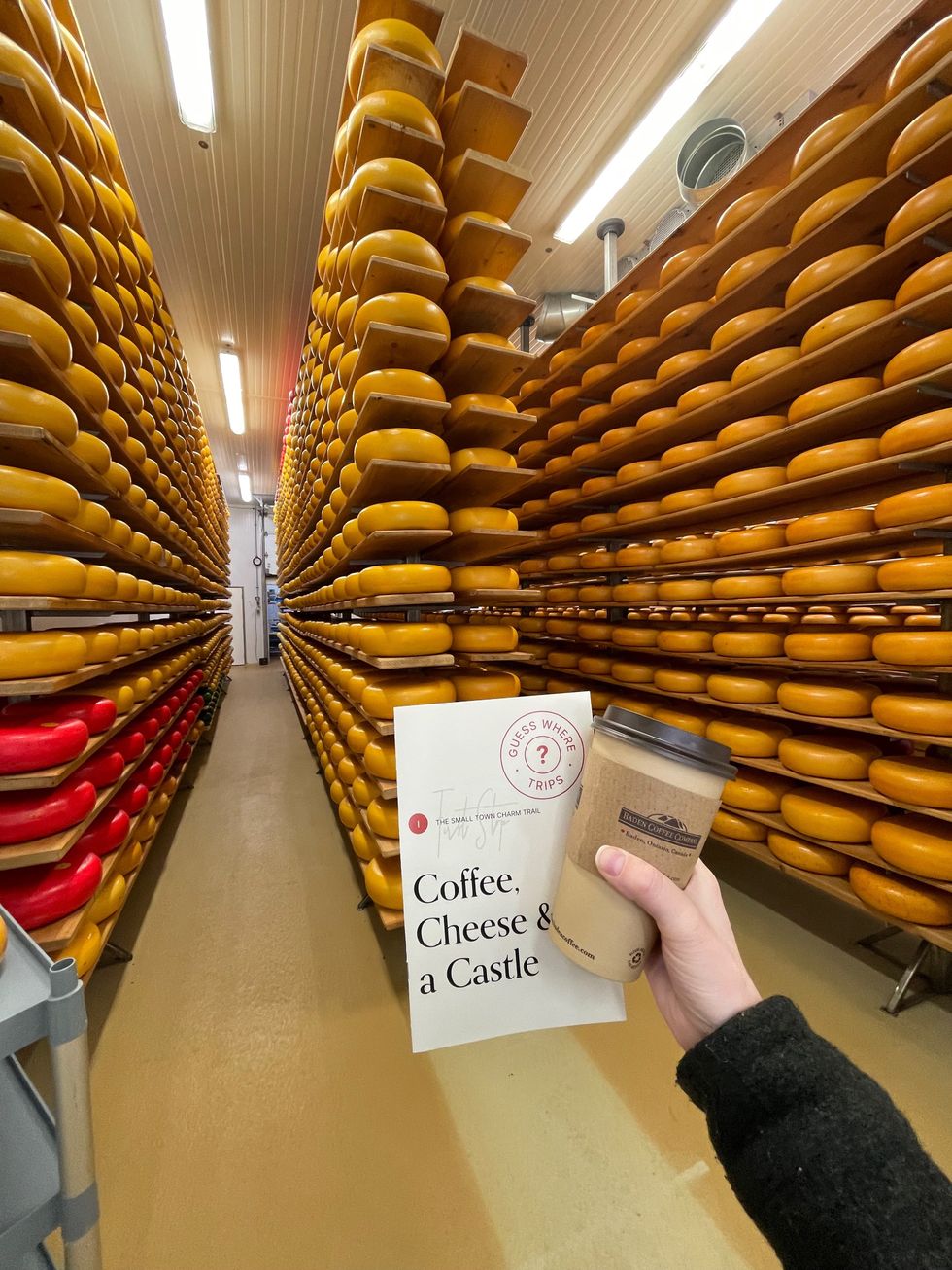 Aisles of cheese.