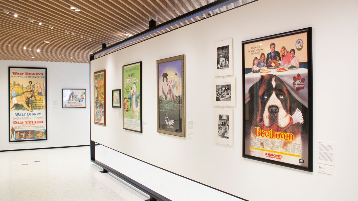 AKC Museum of the Dog New York City