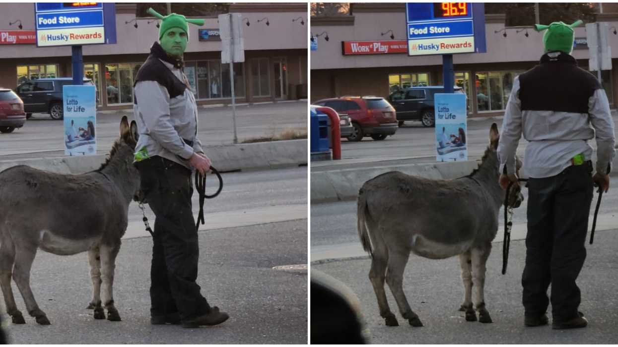 Alberta Man's Shrek And Donkey Halloween Costume Wins