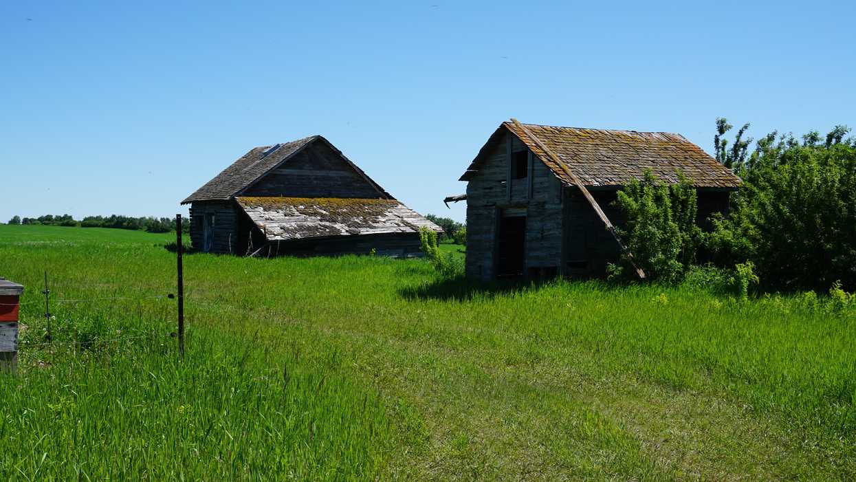 Alberta SPCA Seized Cats & Horses From An Owner Who Faces Up To $140K In Fines