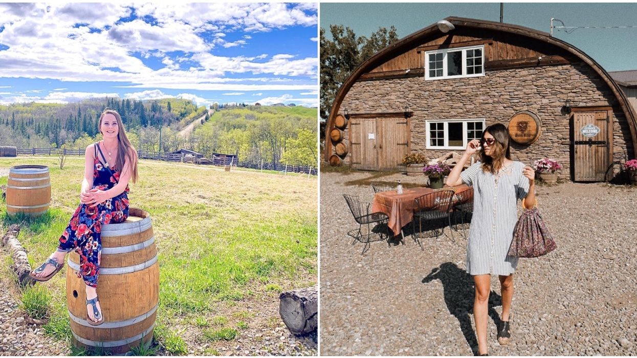 Alberta Winery Has 'Flower Wine' & You Can Taste It All For Only $5