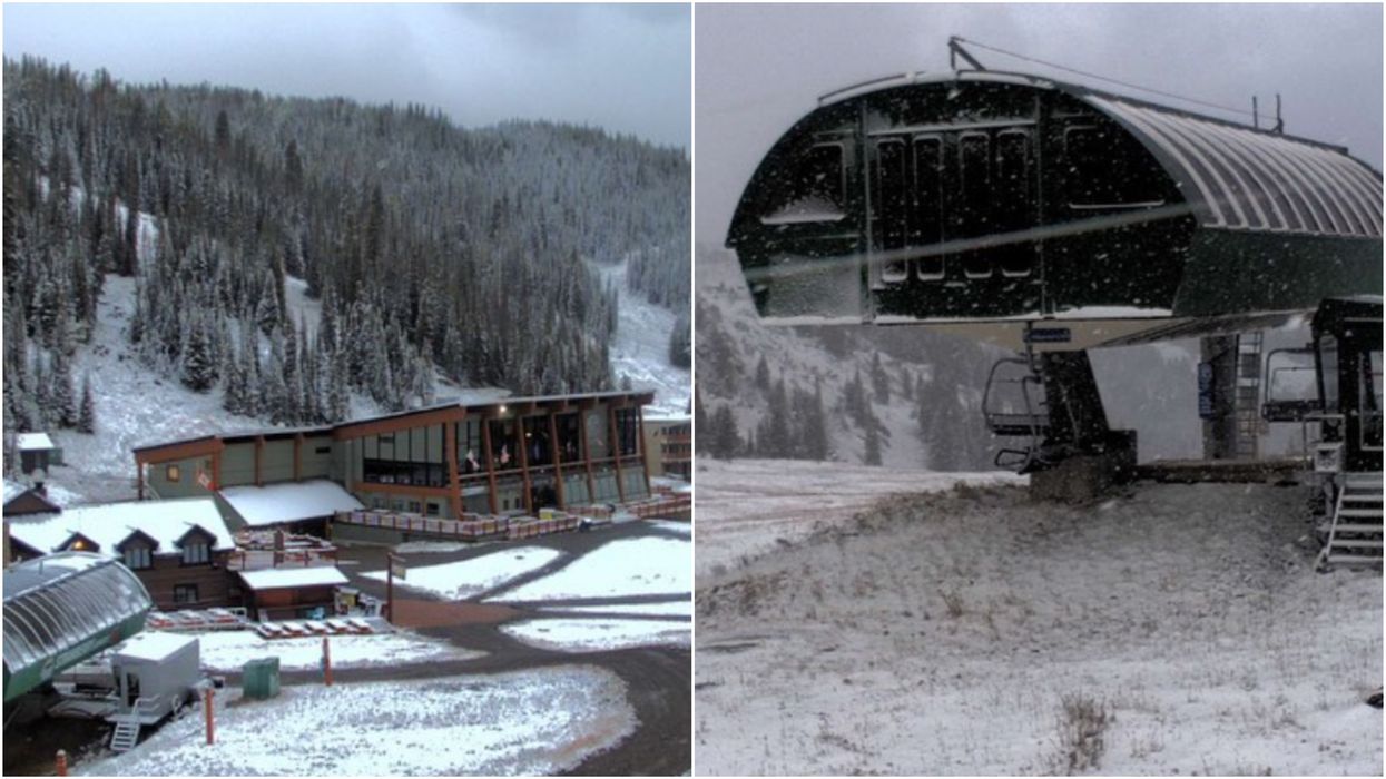 Alberta’s Labour Day Storm Brought Summer Snow & It Looked Like January (PHOTOS)