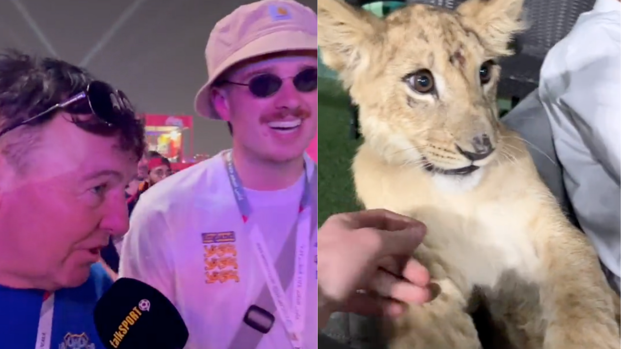 Alex and John doing an interview with talkSPORT. Right: A screenshot from Alex's video of a lion.