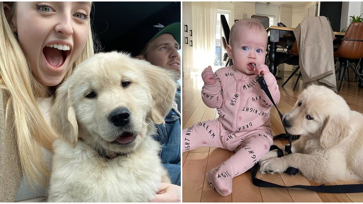 Alicia Moffet Partage Des Photos De Son Bebe Chien Et C Est Adorable Narcity Alicia Moffet Partage Des Photos De Son Bebe Chien Et C Est Adorable Narcity