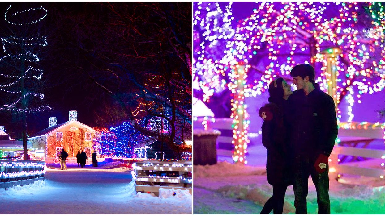 Alight At Night In Ontario Opens This Weekend & It Looks So Magical