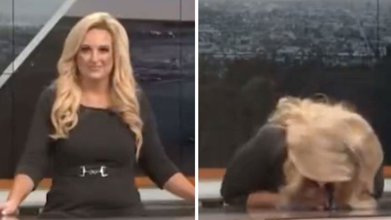 Alissa Carlson during a live broadcast on CBS affiliate KCAL.