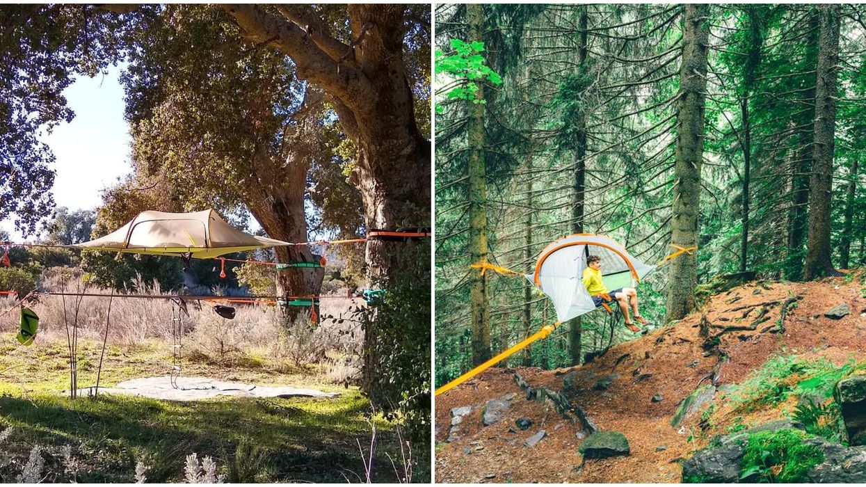 Alter Experiences In San Diego Lets You Sleep In A Tent Suspended In The Air