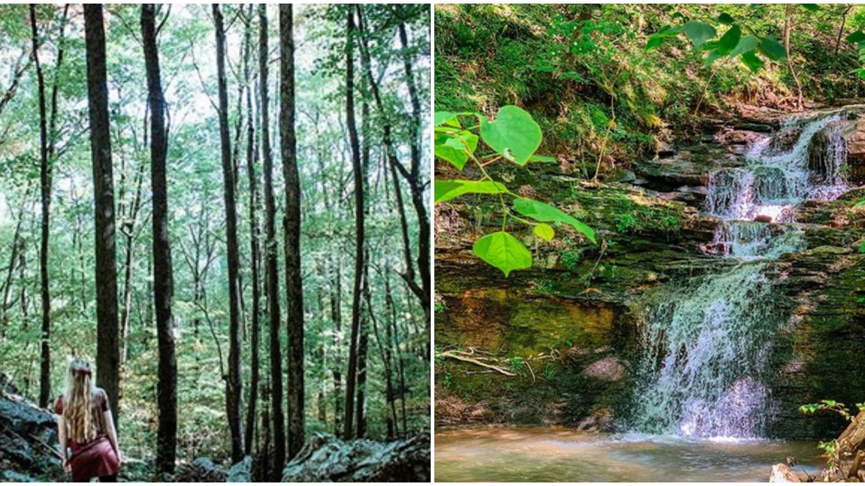 Alum Hollow Trail In Alabama Leads To A Hidden Waterfall
