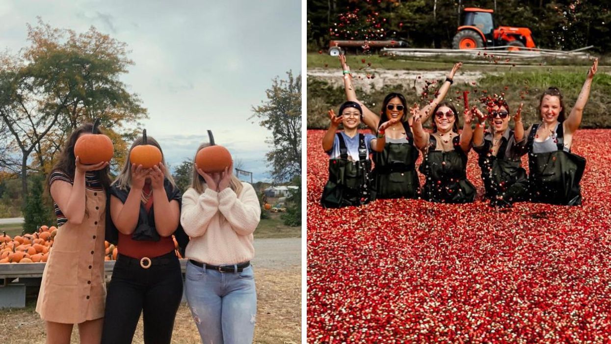 Amazing Autumn Things To Do With Your Best Friends In Ontario