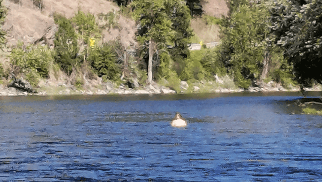 American Border Jumper Arrested In BC After A 2.5-Hour Naked 'Float Chase' Down A River