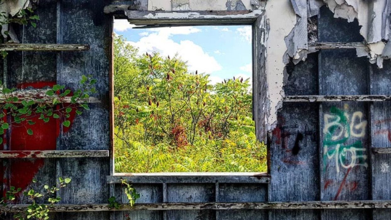 An abandoned building covered with graffiti and overgrown plants.