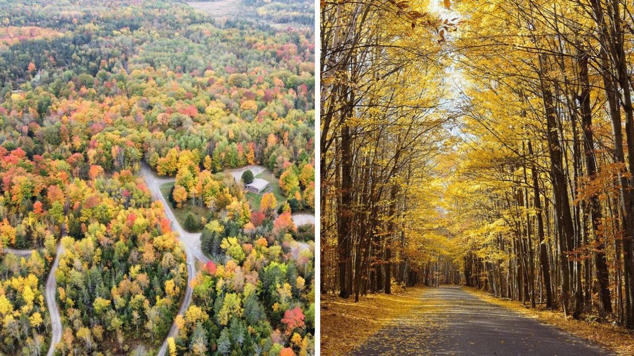 An aerial view of a fall forest. Right: A road surrounded by fall leaves.