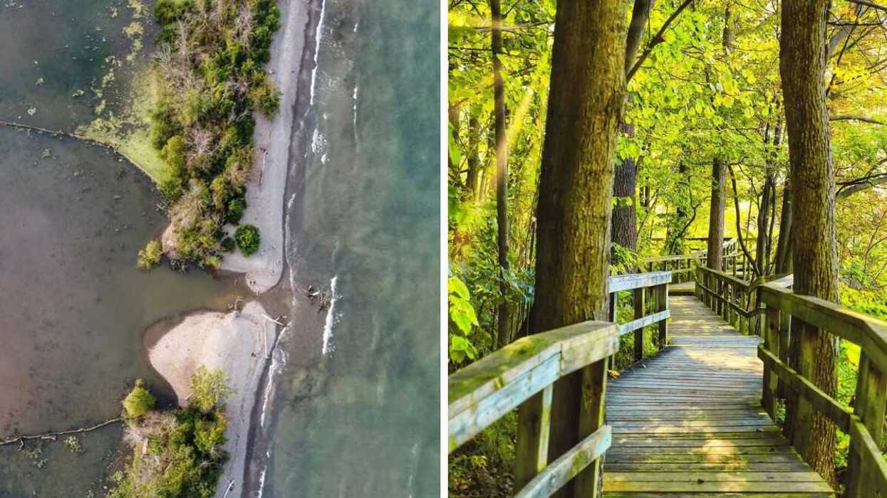 An aerial view of a shoreline. Right: A boardwalk trail through a forest.