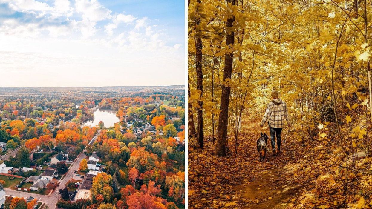 An aerial view of a town during the fall. Right: A person walking a dog in a fall forest.