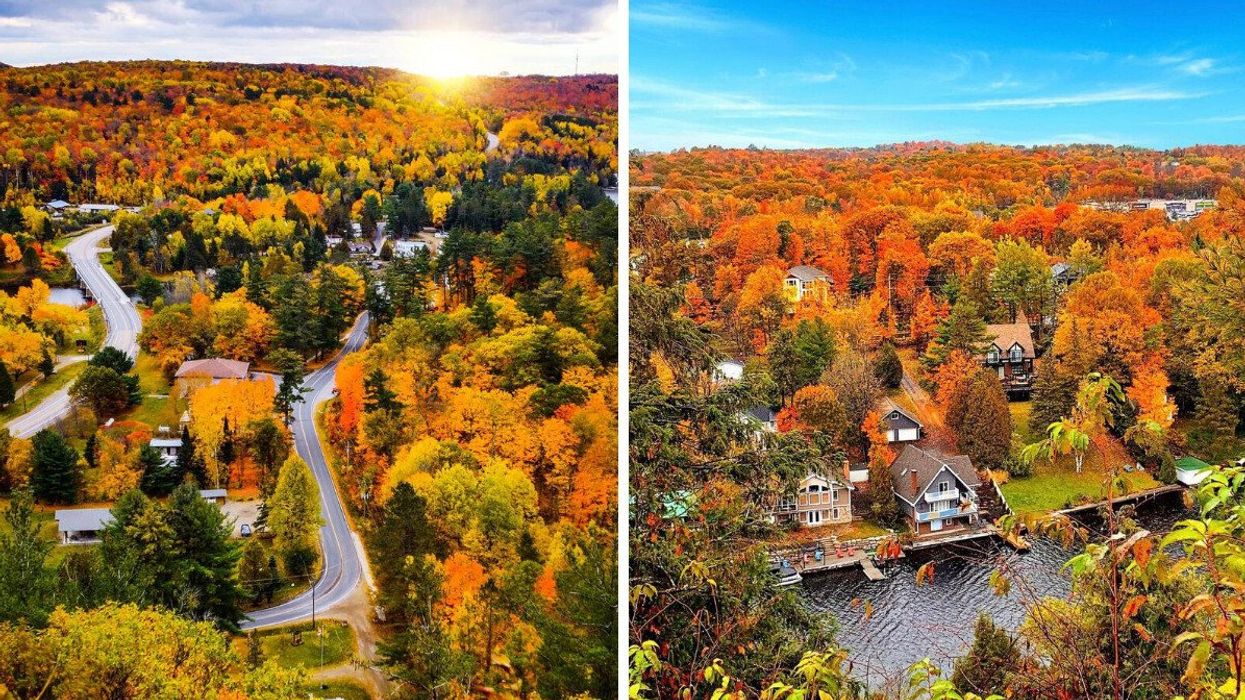 An aerial view of fall colours.