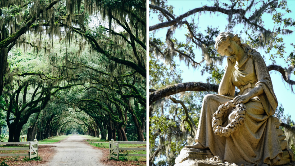 An archway of live oaks looming over Wormsloe Historic Site. Right: A statue of a woman at a tomb in Bonaventure Cemetery.