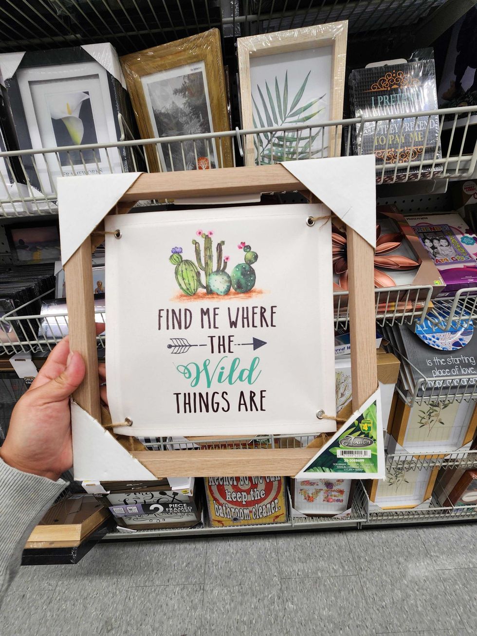 An art print at Dollarama.