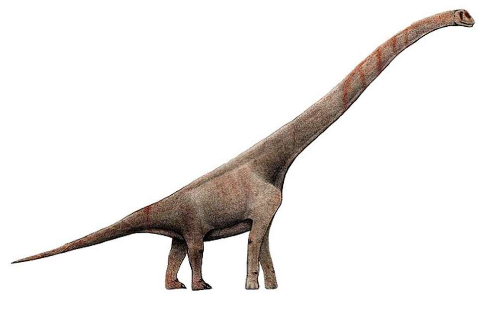An artist depiction of the Sauroposeidon Proteles.