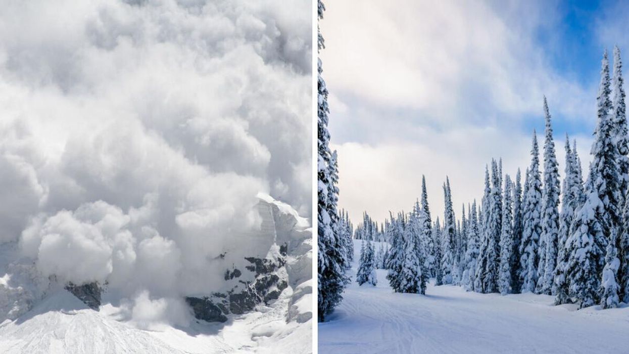 An avalanche. Right: Snow covered trees.