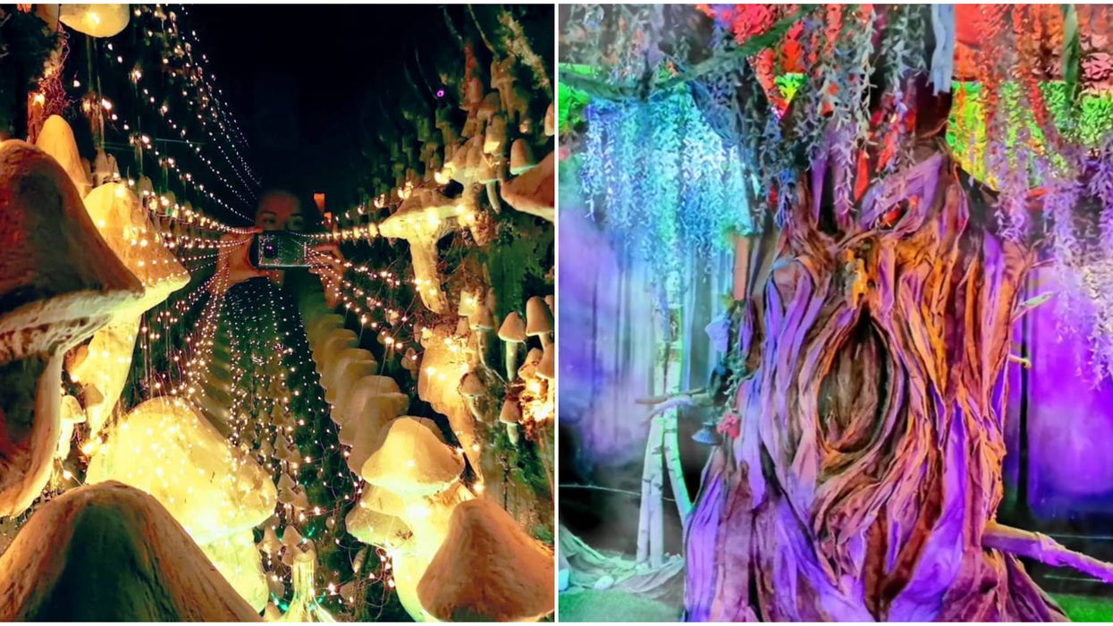 An Escape Room In Toronto Reopens In August So You Can Finally Leave Reality