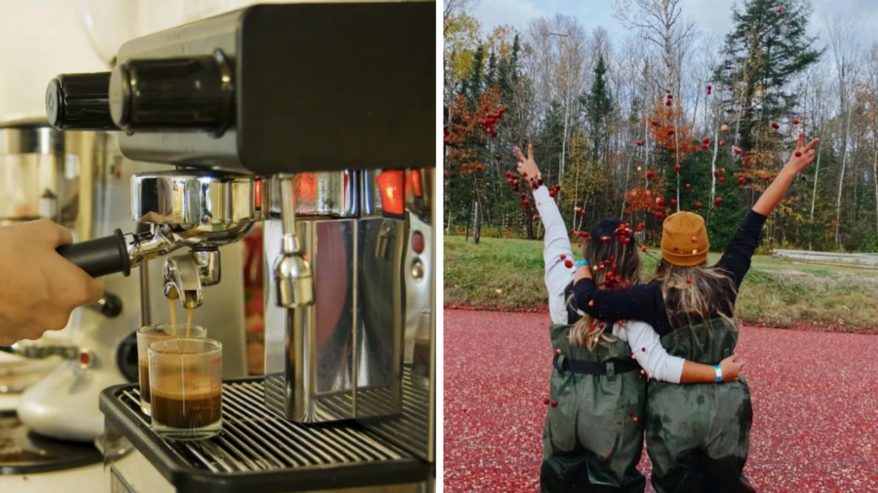 An espresso machine. Right: Two women in a cranberry marsh.