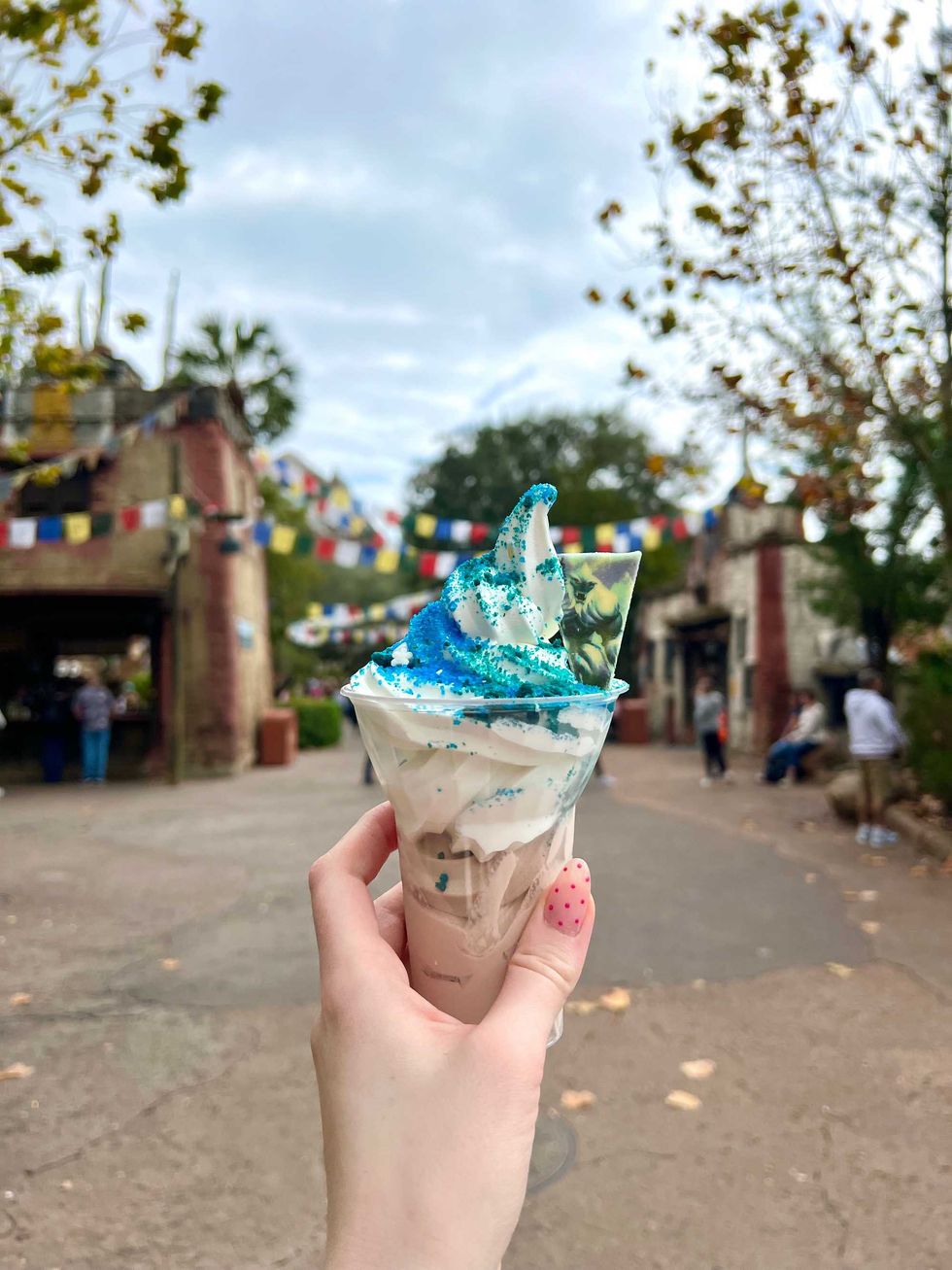 An ice cream at Animal Kingdom.