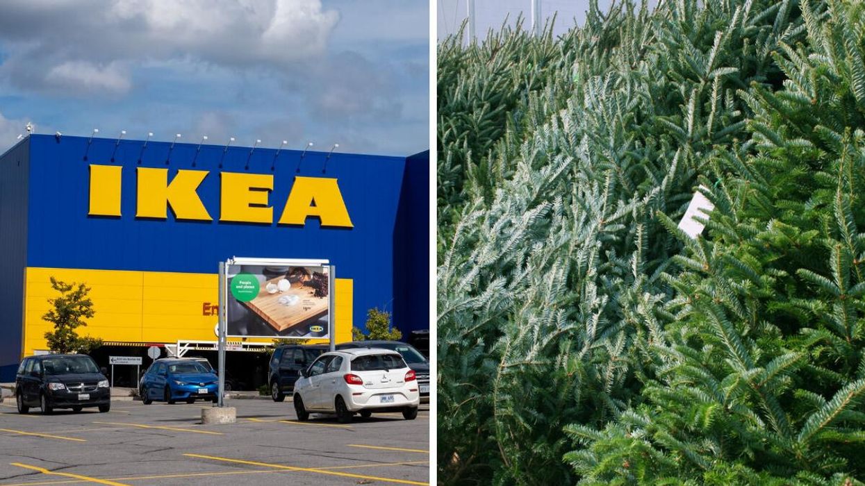 An IKEA store. Right: A bunch of real Christmas trees.