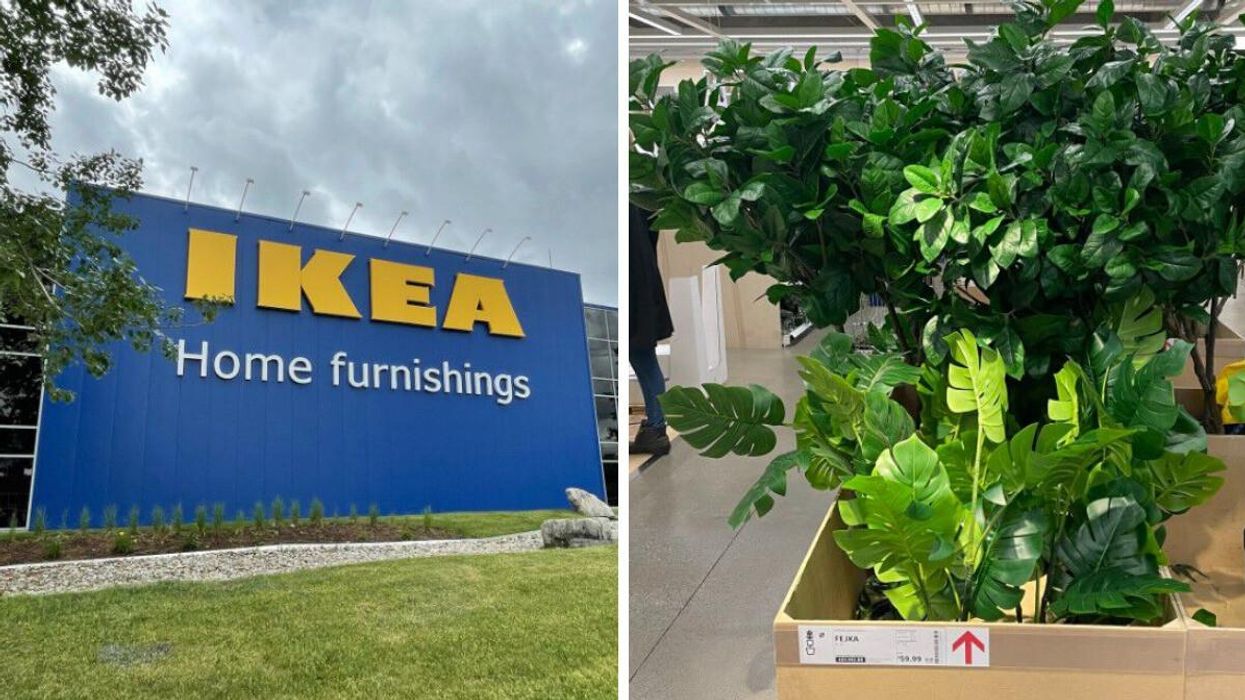 An IKEA store. Right: IKEA plants.