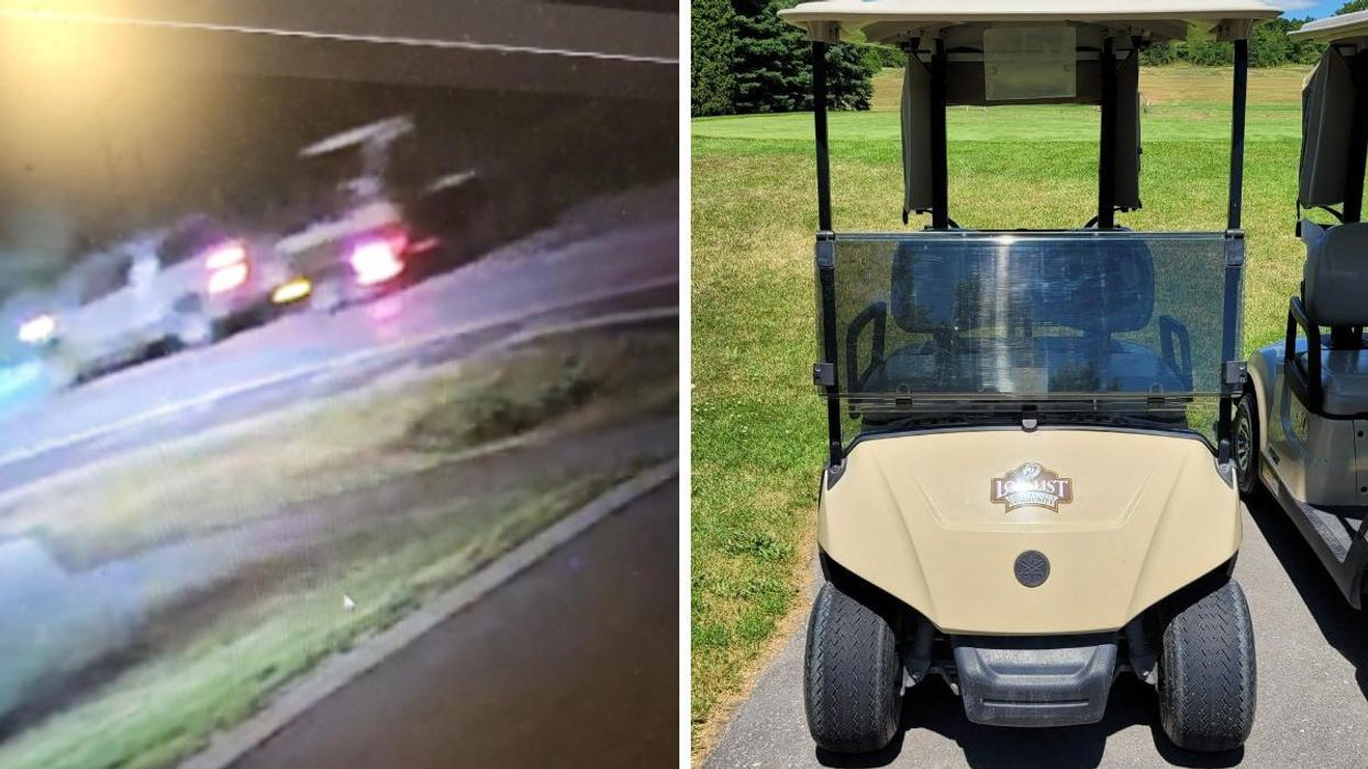 An image of the vehicle. Right: The model of golf cart