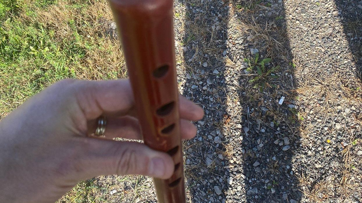 An Ontario Driver Got Charged For Keeping His Hands Off The Wheel To Play The Flute
