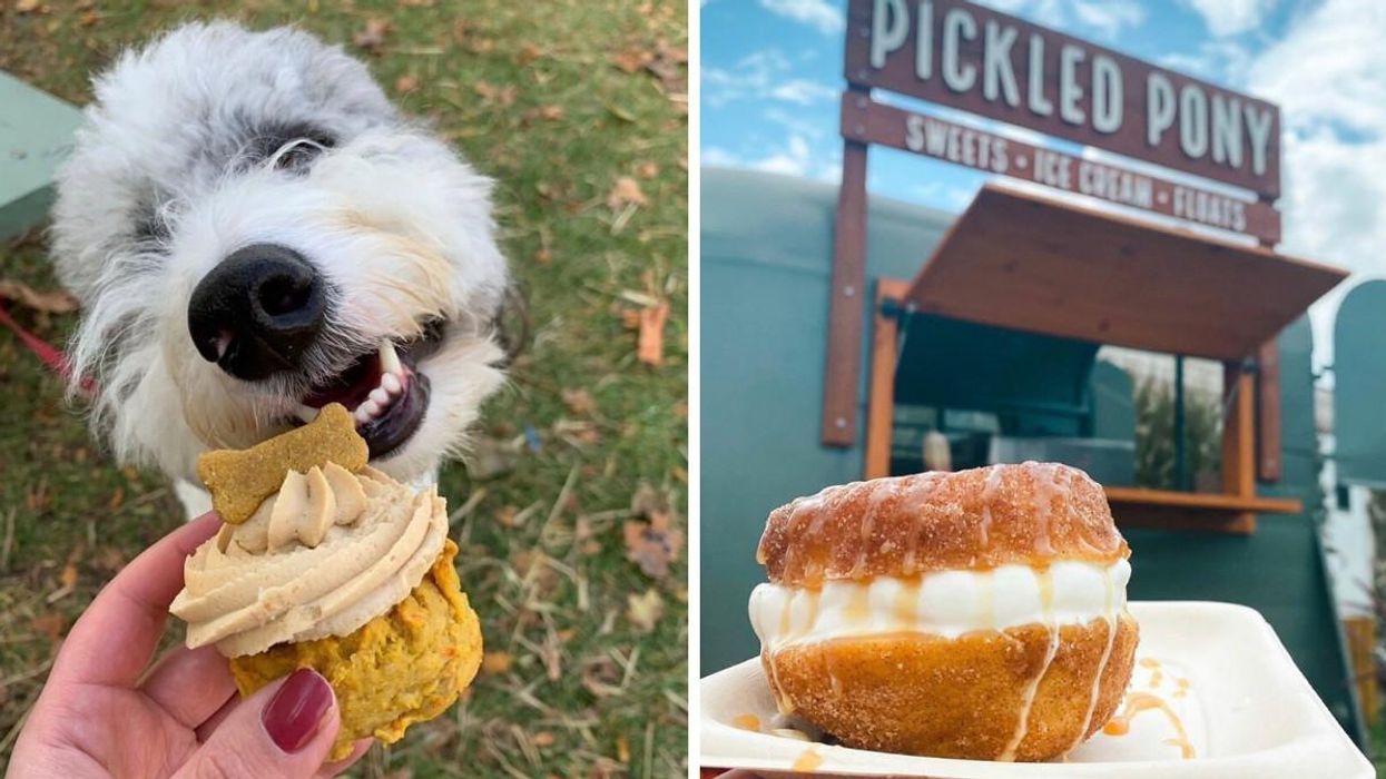 An Ontario Farm's Pup-Tastic Halloween Event Will Let You & Your Dog Get Lost In Corn Maze