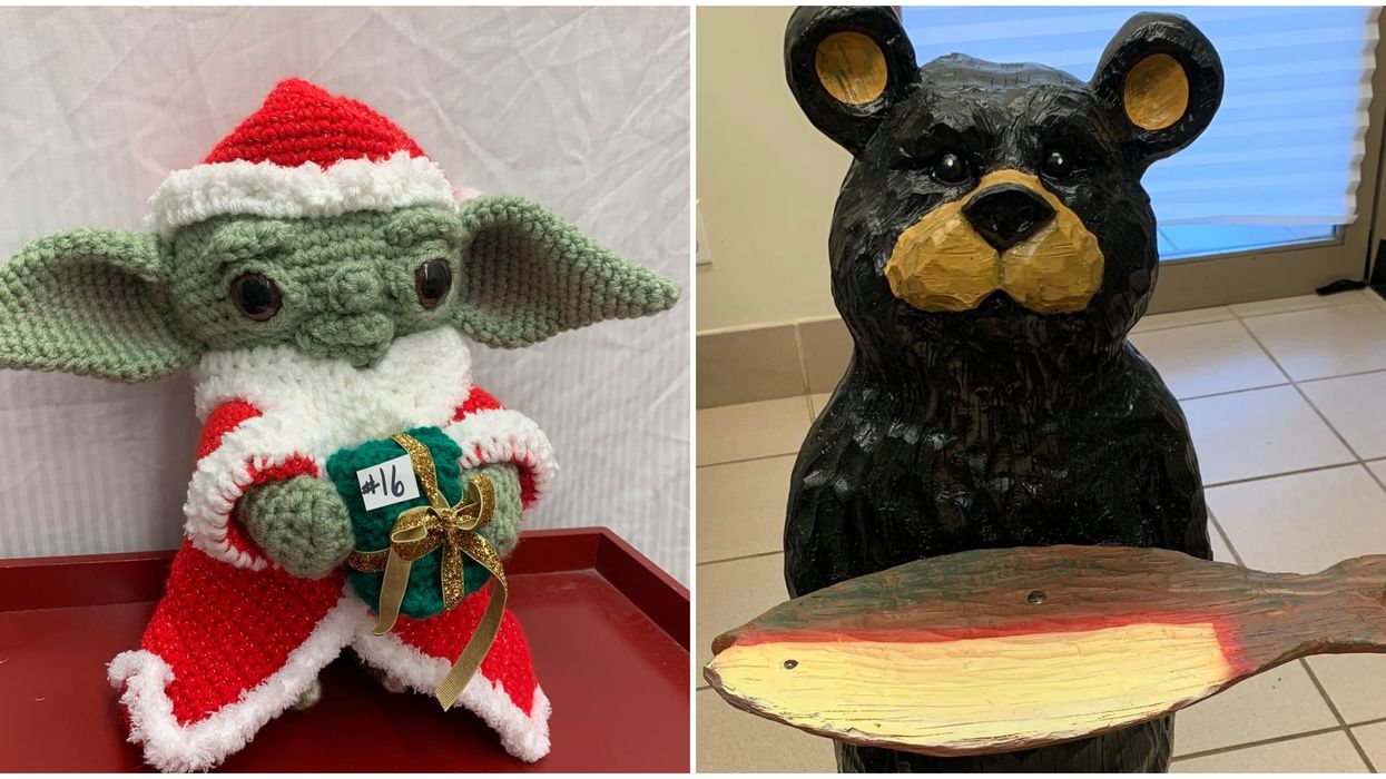 An Ontario SPCA Has The Sweetest And Randomest Items At Their Virtual Auction