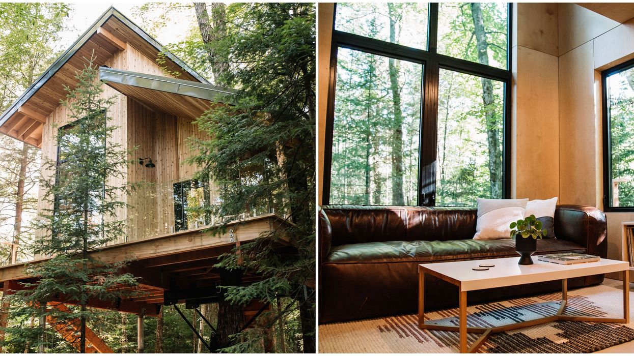 An Ontario Treehouse Airbnb Opens In September And The First Look Will Blow You Away