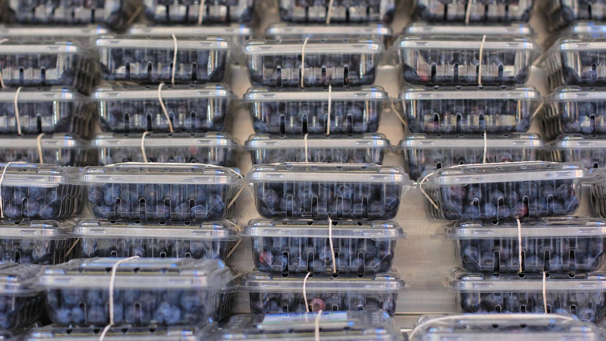 An Ontario-Wide Food Recall Has Been Issued For These Blueberries 'Due To Pieces Of Metal'