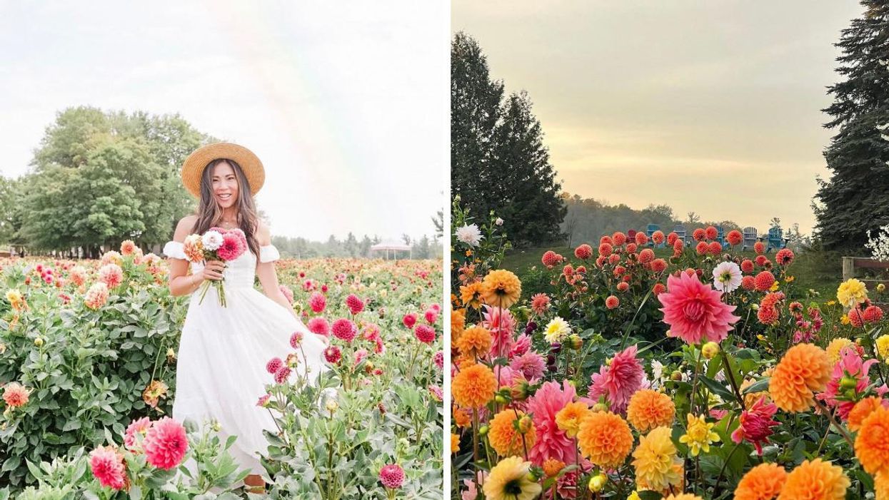 Andrews Farm Market & Winery in Milton, Ontario. Right: Country Cut Flowers in Newmarket, Ontario.
