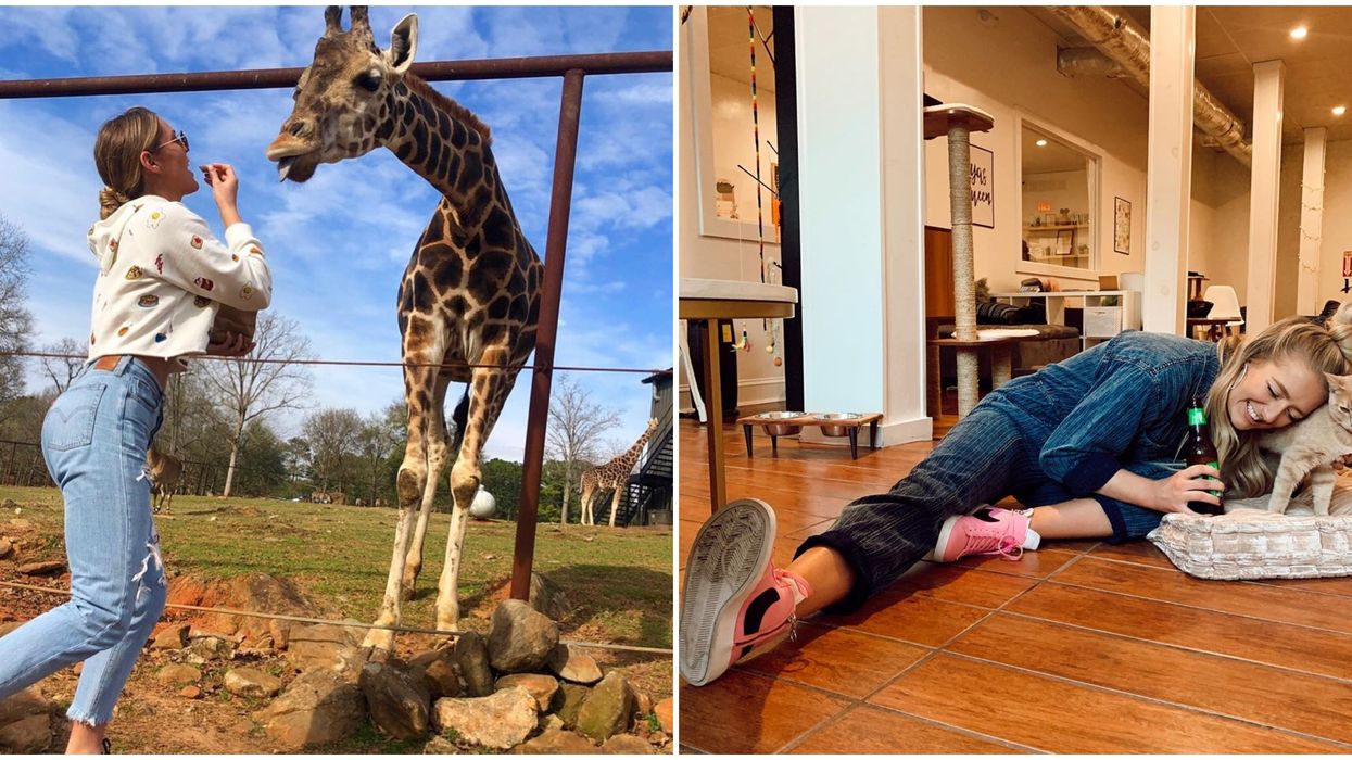 Animal Encounters In Georgia Are Affordable Day Trips For When You're Tired Of People