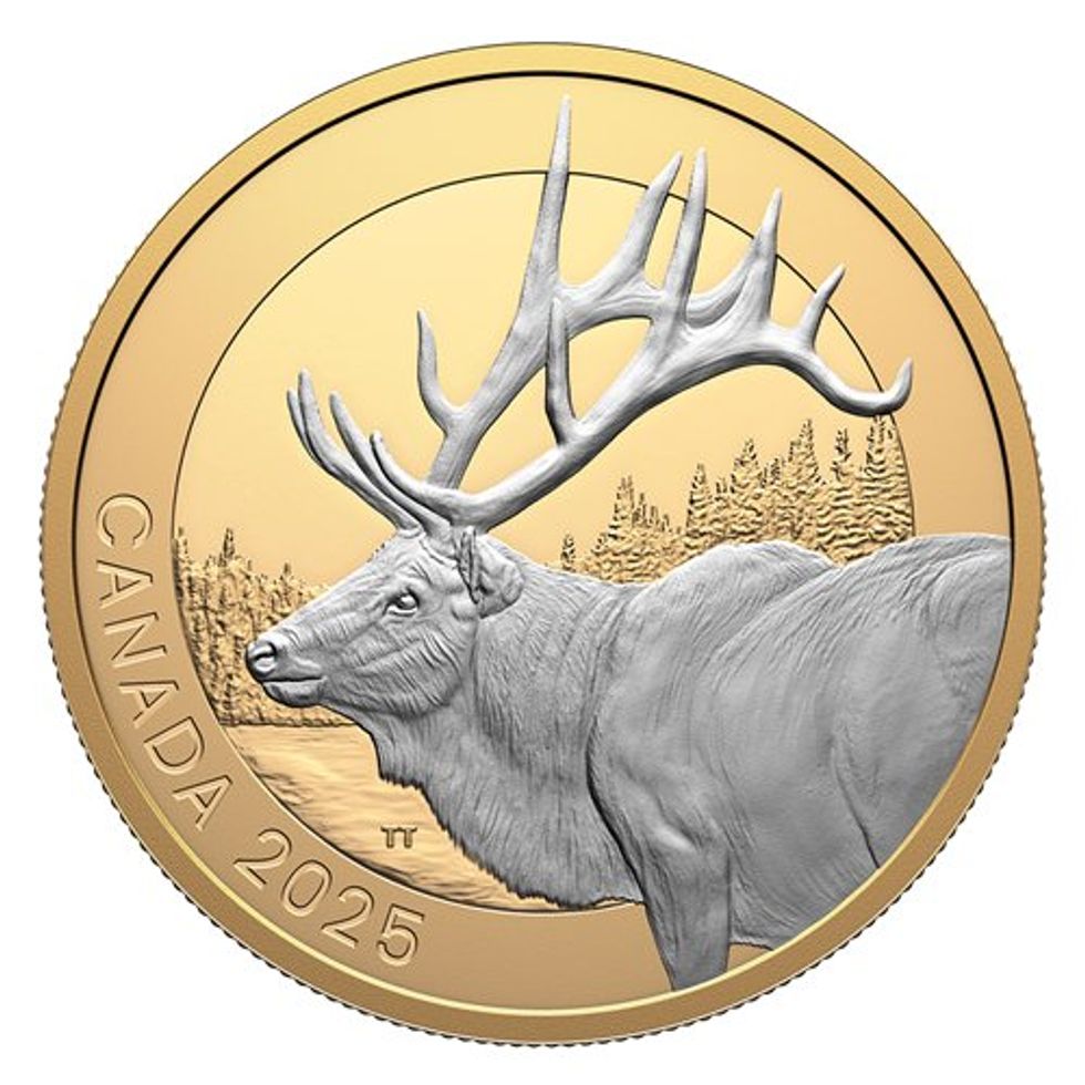 animal portraits elk 1 oz fine silver coin